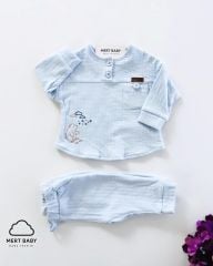 Cloudy Bear Team
