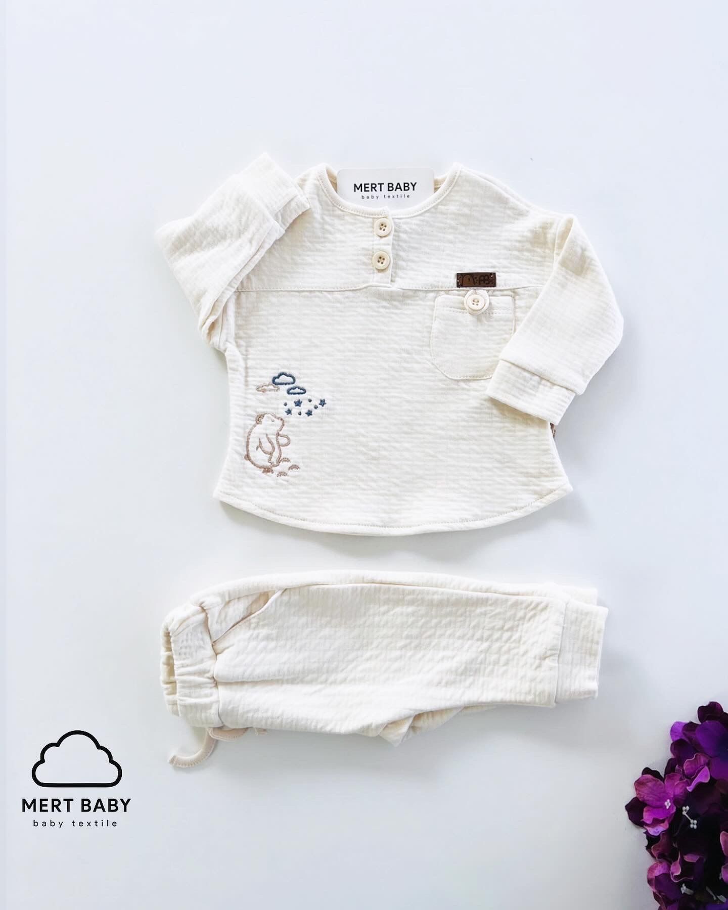Cloudy Bear Takım