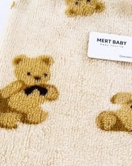 Teddy Bear Blanket